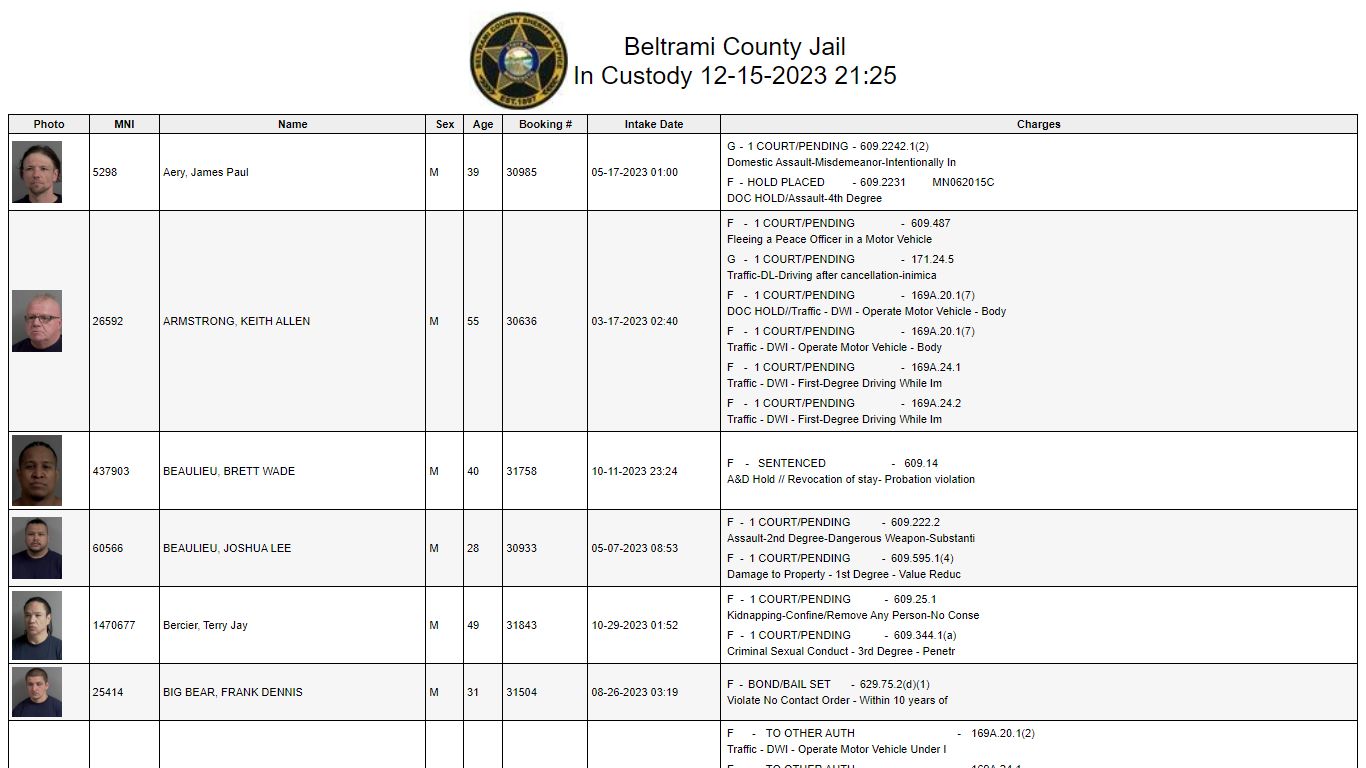 Custody - Beltrami County, Minnesota